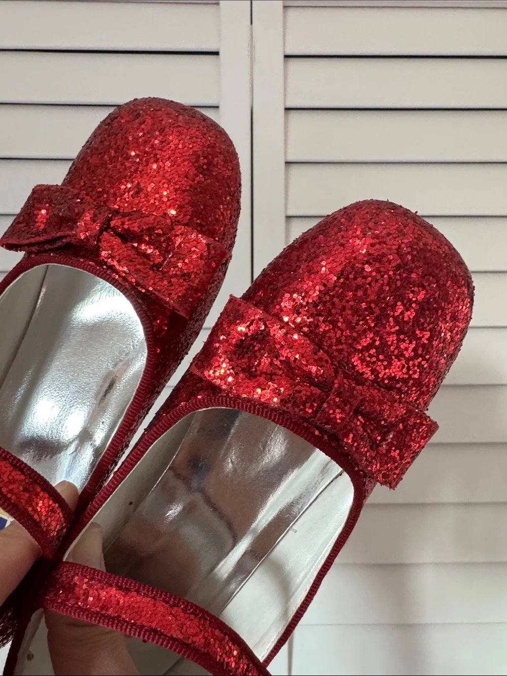 Ruby Red Slippers - Picture 6 of 6